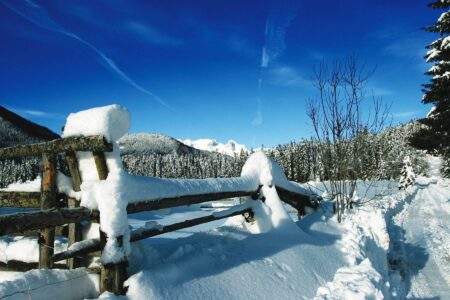 19 Ways to Prepare for Winter Image
